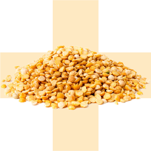 10G PLANT-BASED PROTEIN